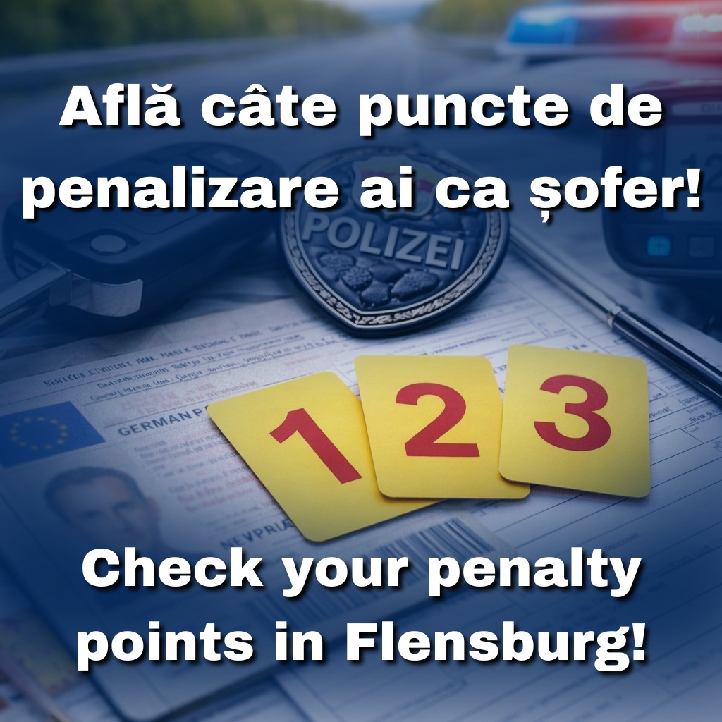 Verificare puncte penalizare Flensburg – oficial